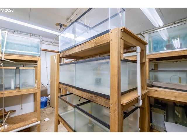 2573 KALMIA St, Sweet Home, OR 97386