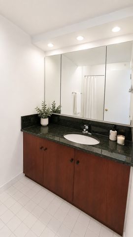 400 E OHIO Street 3004, Chicago, IL 60611