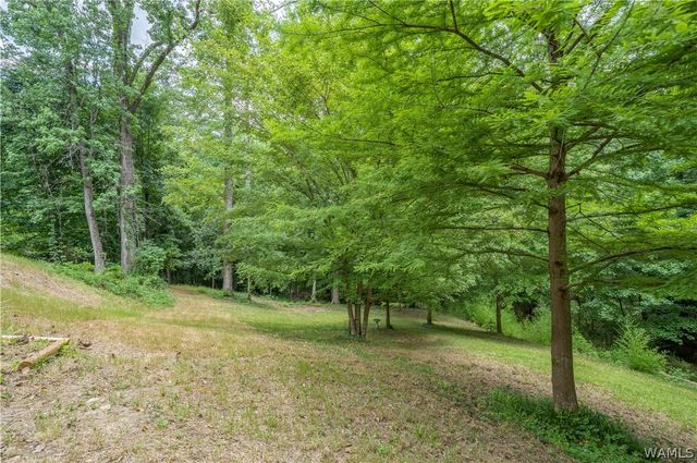 6 BEECHWOOD, Tuscaloosa, AL 35404