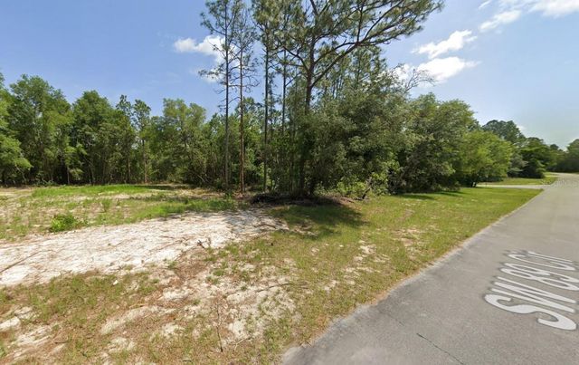 13831 SW 89TH CIRCLE, Ocala, FL 34473