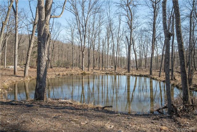 56 Benjamin Meadow Road, Tuxedo Park, NY 10987