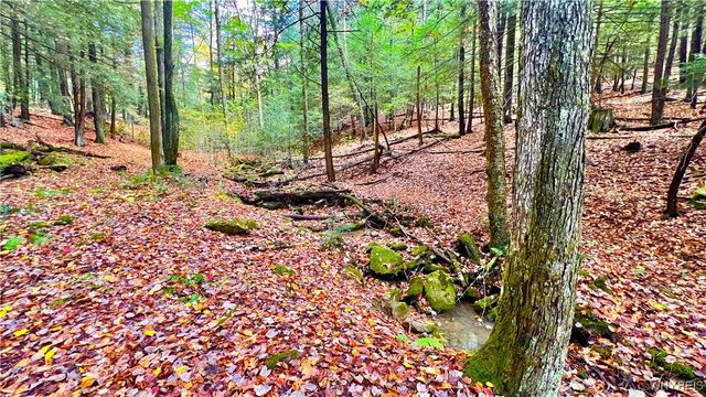 3662 Forest Hill Road, Great Valley, NY 14748