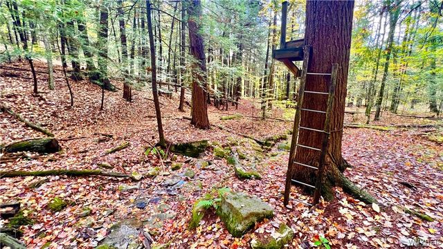 3662 Forest Hill Road, Great Valley, NY 14748