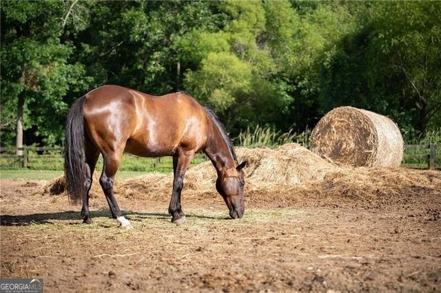 245 Lask Lane, Milton, GA 30004