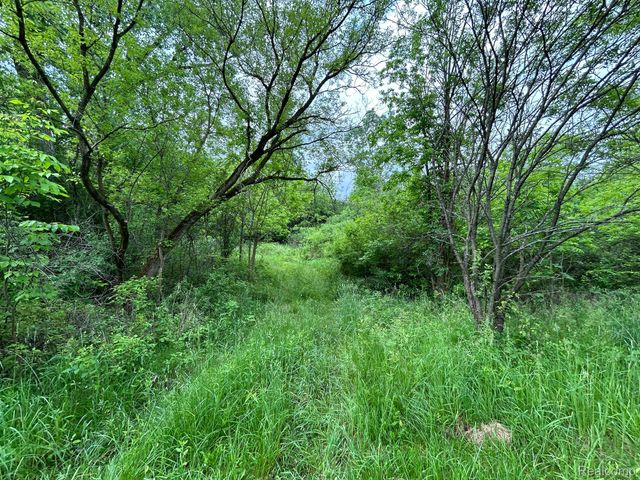 2356 S DYE Road, Flint Twp, MI 48532