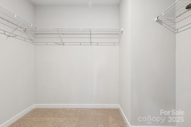 14109 Alley Mae None, Huntersville, NC 28078