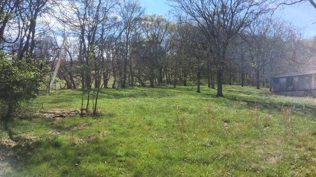 2431 Williams Rd, Cornersville, TN 37047