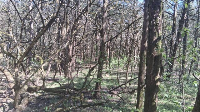 2431 Williams Rd, Cornersville, TN 37047