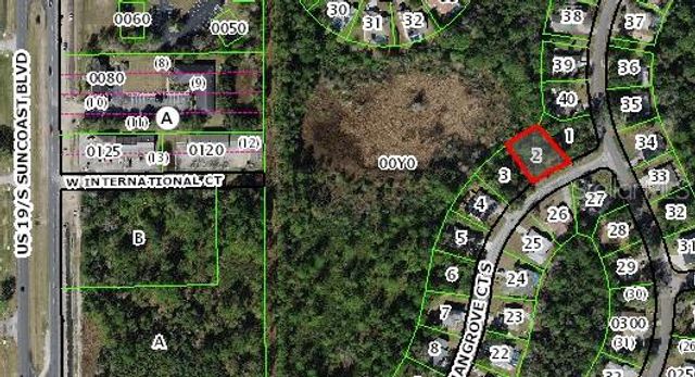 4 MANGROVE COURT S, Homosassa, FL 34446