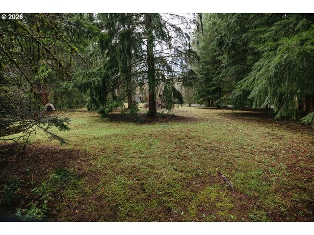 410 STUDEBAKER SPUR 2, Castle Rock, WA 98611