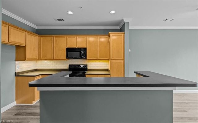 411 W Washington Street 108, Greensboro, NC 27401