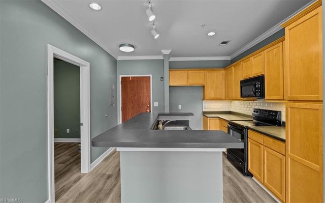 411 W Washington Street 108, Greensboro, NC 27401