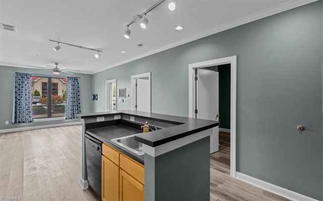 411 W Washington Street 108, Greensboro, NC 27401