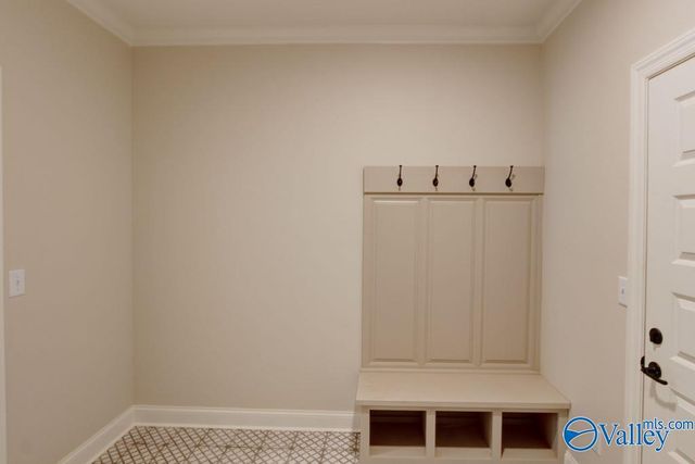 12378 Narayan Street, Madison, AL 35756