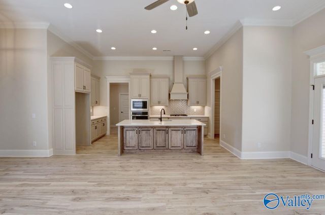 12378 Narayan Street, Madison, AL 35756