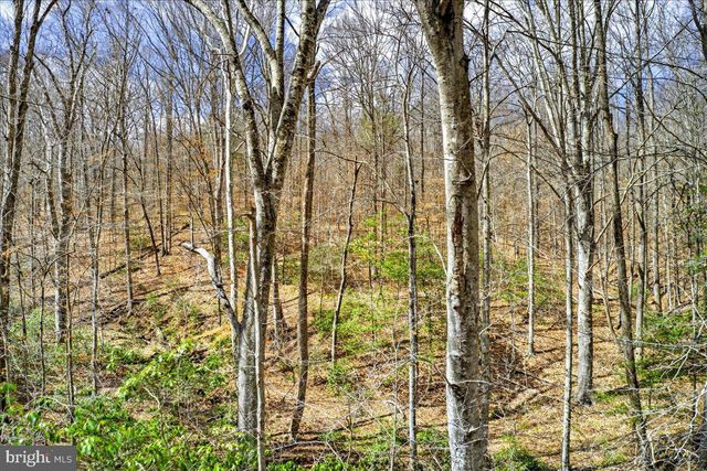 18 CHICKASAW PL, Palmyra, VA 22963