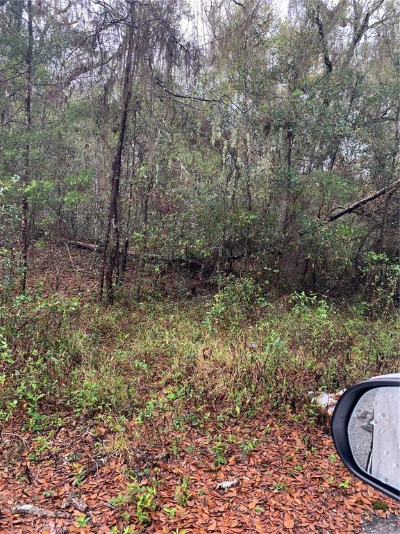 290 S INDUSTRIAL DRIVE, Orange City, FL 32763