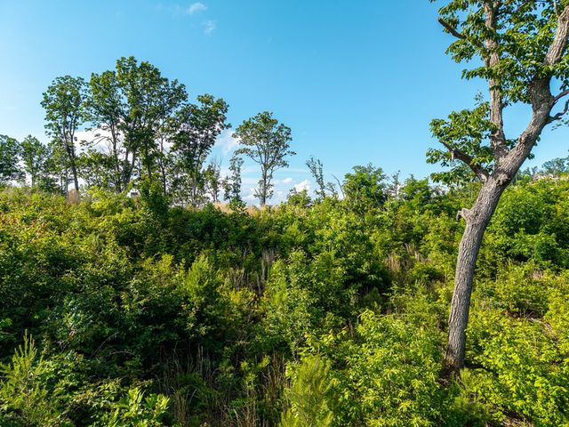 234 Highgrove Drive, Talking Rock, GA 30175