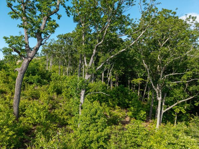 234 Highgrove Drive, Talking Rock, GA 30175