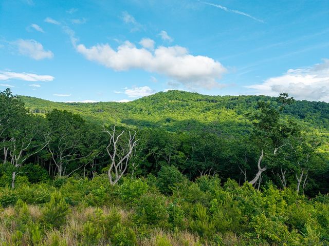 234 Highgrove Drive, Talking Rock, GA 30175