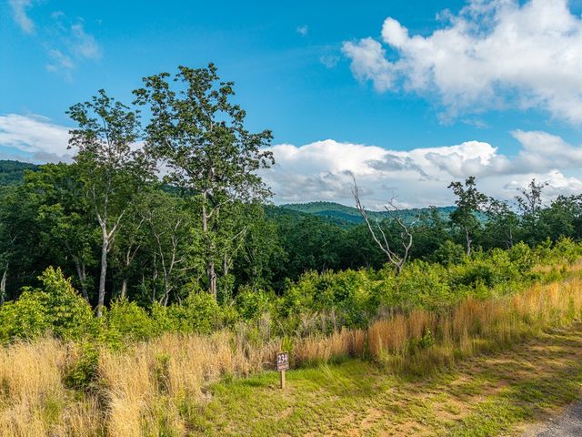 234 Highgrove Drive, Talking Rock, GA 30175