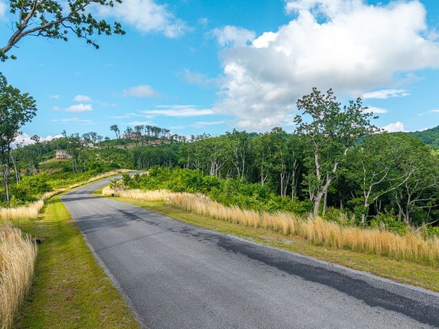 234 Highgrove Drive, Talking Rock, GA 30175