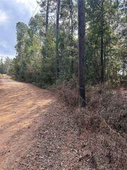 TBD Glen Nettles Road, Livingston, TX 77351