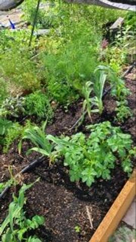 820 Wilson Avenue, Metolius, OR 97741