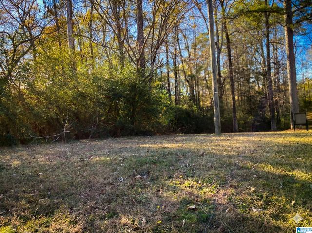 210 HIGHWAY 204, Montevallo, AL 35115