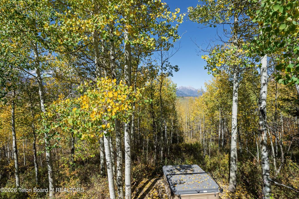 855 N BAR Y Road, Jackson, WY 83001 photo 32