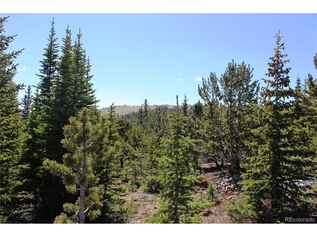 19420 Kingston Peak Rd, Black Hawk, CO 80422