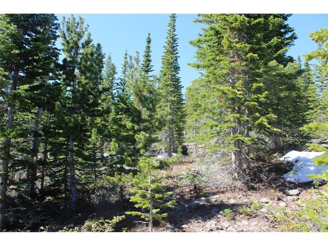 19420 Kingston Peak Rd, Black Hawk, CO 80422