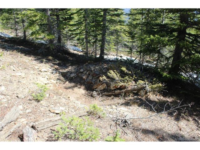 19420 Kingston Peak Rd, Black Hawk, CO 80422