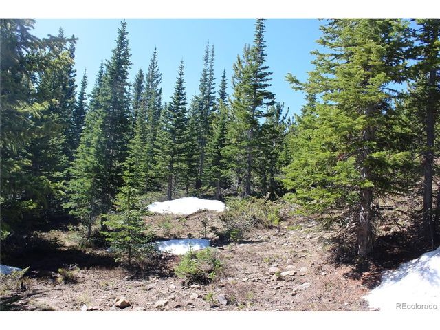 19420 Kingston Peak Rd, Black Hawk, CO 80422
