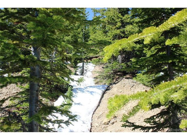 19420 Kingston Peak Rd, Black Hawk, CO 80422