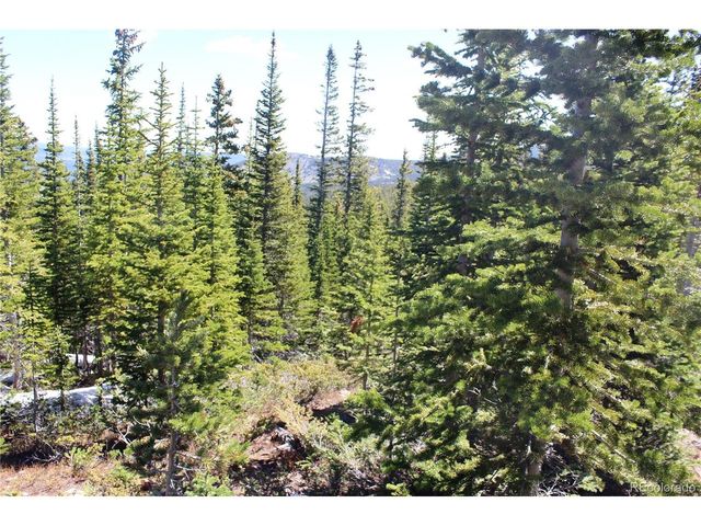 19420 Kingston Peak Rd, Black Hawk, CO 80422