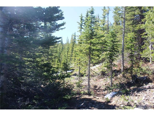 19420 Kingston Peak Rd, Black Hawk, CO 80422
