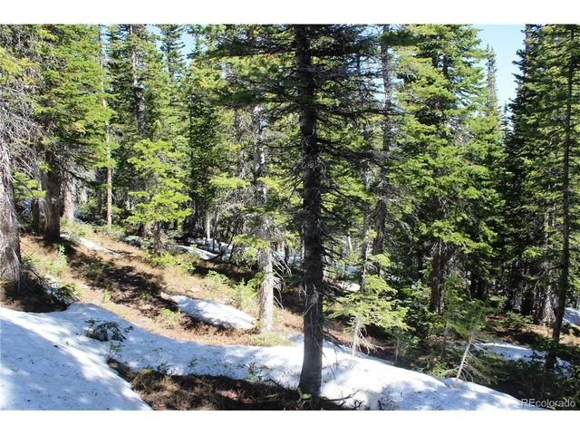 19420 Kingston Peak Rd, Black Hawk, CO 80422