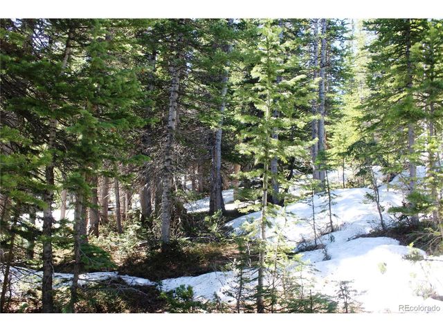 19420 Kingston Peak Rd, Black Hawk, CO 80422