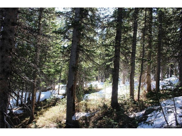 19420 Kingston Peak Rd, Black Hawk, CO 80422