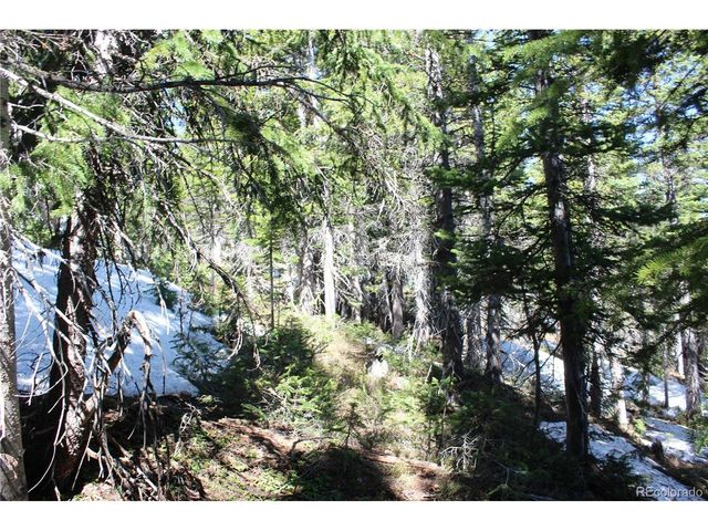 19420 Kingston Peak Rd, Black Hawk, CO 80422