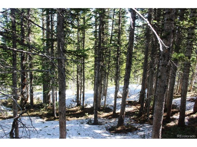 19420 Kingston Peak Rd, Black Hawk, CO 80422