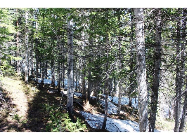 19420 Kingston Peak Rd, Black Hawk, CO 80422