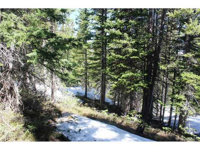 19420 Kingston Peak Rd, Black Hawk, CO 80422