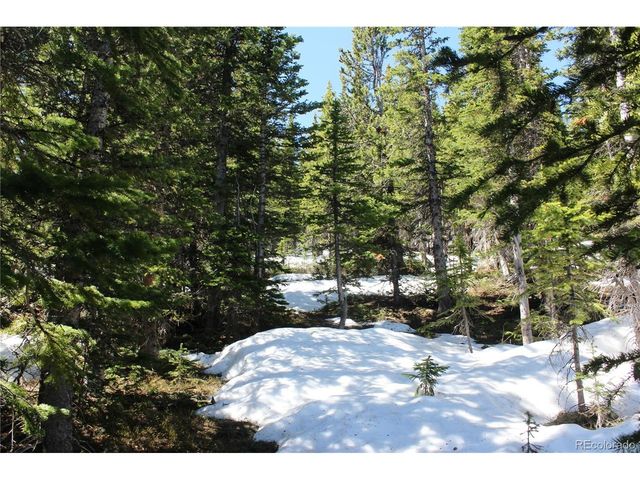 19420 Kingston Peak Rd, Black Hawk, CO 80422