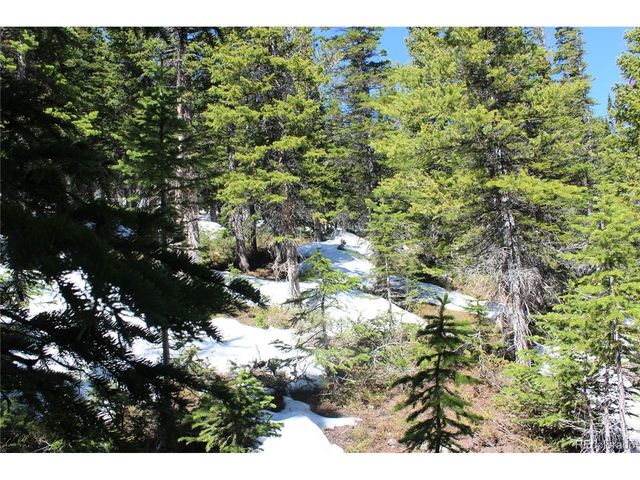 19420 Kingston Peak Rd, Black Hawk, CO 80422