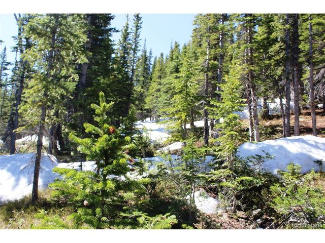19420 Kingston Peak Rd, Black Hawk, CO 80422