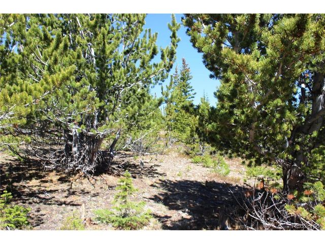 19420 Kingston Peak Rd, Black Hawk, CO 80422