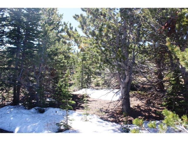 19420 Kingston Peak Rd, Black Hawk, CO 80422
