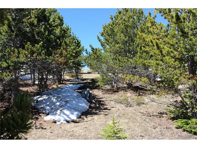 19420 Kingston Peak Rd, Black Hawk, CO 80422
